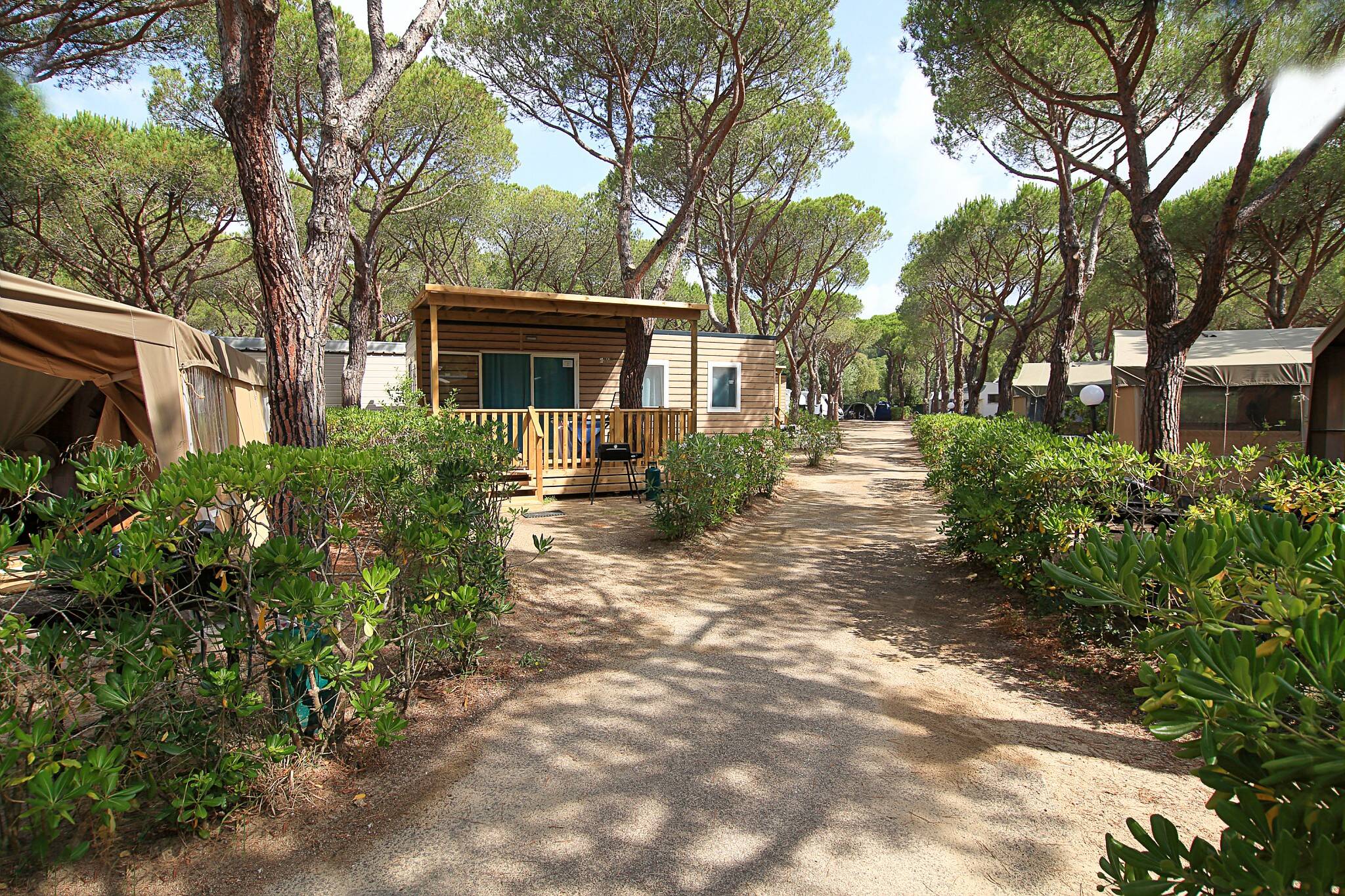 Camping Ville Degli Ulivi *** Toscane photo 3 Tohapi